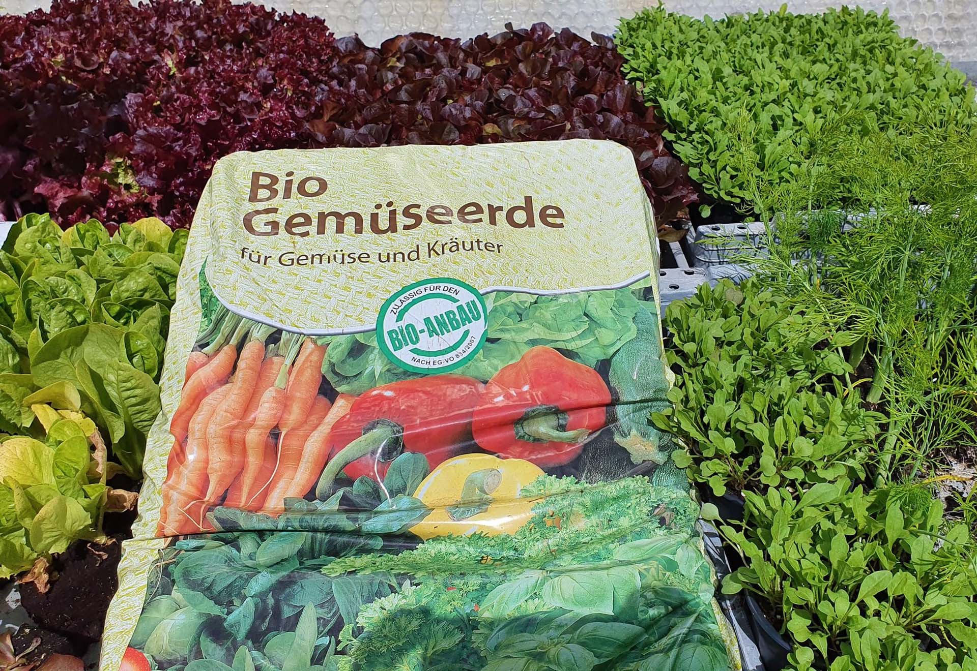 Blumenerde